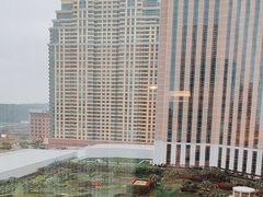 -澳门威尼斯人综合度假区