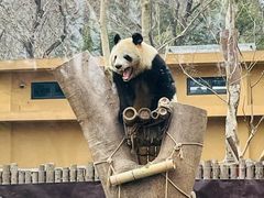 -杭州动物园