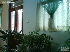 DSC00875-朵朵开素食餐厅(后宰门街店)