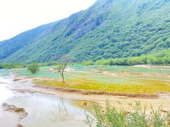 -黄龙山原始森林景区