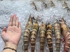 -纽顿熟食中心