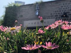 -瓦库茶馆17号(海汇港店)