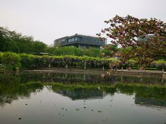 -嘉定紫藤园