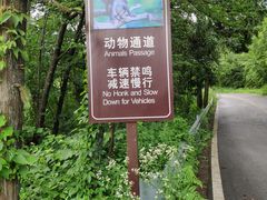 -大围山国家森林公园