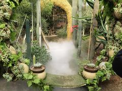 -呀路古热带植物园