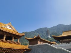 -深圳仙湖植物园
