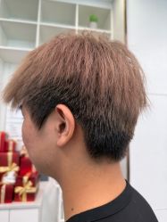 -YESIDO椰岛造型