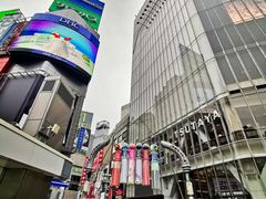 -涩谷区