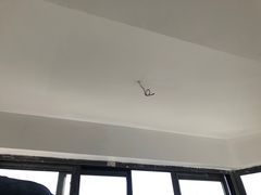 -居丽装饰空间设计(总部)