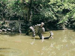 -汇龙潭