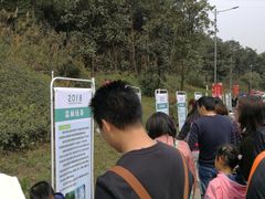 -铁山坪森林公园