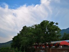 -阳台山自然风景区