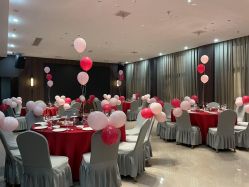 -苏派宝宝生日宴·求婚策划·气球派对布置(园区店)
