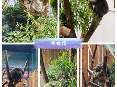 -红山森林动物园