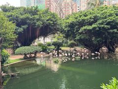 -九龙公园