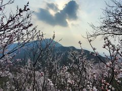 -妙峰山风景名胜区
