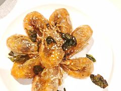 -席家花园(巨鹿花园店)