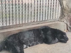 -南昌动物园