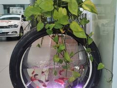 -协通上汽大众(崇明店)