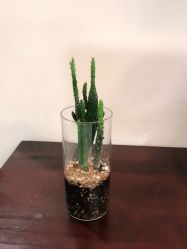 -痘院长·祛痘·皮肤管理