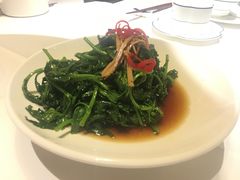 南京菊花脑-民国红公馆·秦淮八艳(夫子庙店)