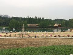 -秀丽东方
