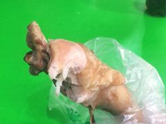 -大益烤鸡