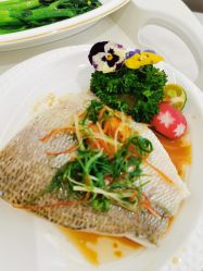 -侒悦缦月子中心·疗愈园区(龙岗店)