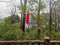 -三门江国家森林公园