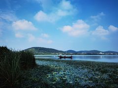 -长广溪湿地公园