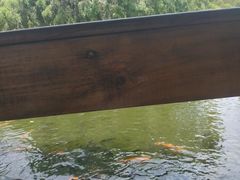 -海南热带野生动植物园