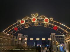 -武汉知音号