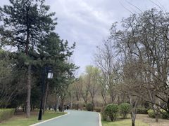 -迎泽公园