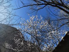 -北京凤凰岭