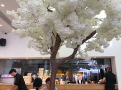 -艾薯夫妇Aysh(福田星河COCOPark店)