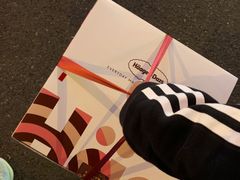 -哈根达斯(武汉天地店)