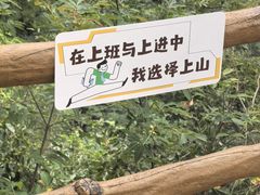 -浙北大峡谷