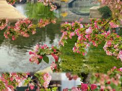 -元大都城垣遗址公园