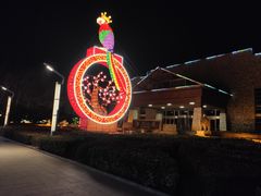 -南宫五洲植物乐园