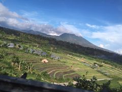 -飞鱼&摩娜潜水度假村