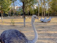 -大连森林动物园