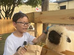 -HERRE·FARM 赫尔露营农场·团建聚会包场