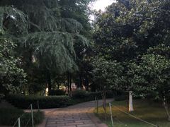 -龙头寺公园