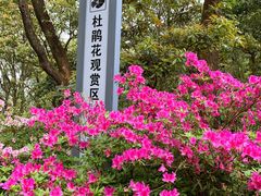 -广州市石门国家森林公园