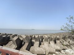 -上海滨江森林公园