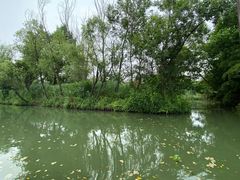 -西溪国家湿地公园