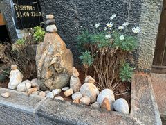 -陀岗美食·云南藏式特色餐厅