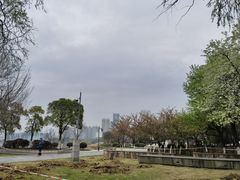 -古琴台