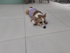 -怪兽屋·羊驼·猫咖·狗咖(俊华广场店)