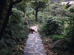 -北京水岸山吧度假村(雁栖镇店)